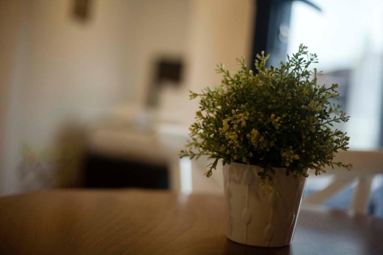 Galata Cicek Suites Истанбул Екстериор снимка